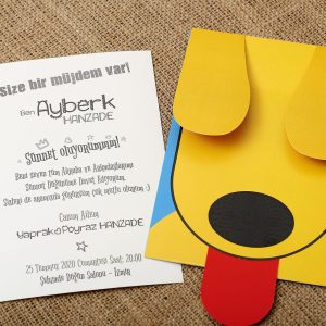 Aras Sünnet Davetiye 4967