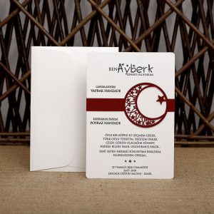 Aras Sünnet Davetiye 4984